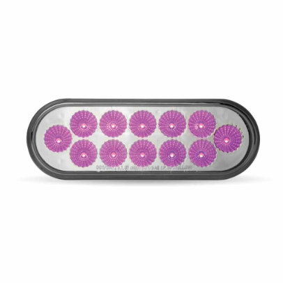 6″ Amber Turn & Marker to Purple Auxiliary LED Oval Light – 12 Diodes