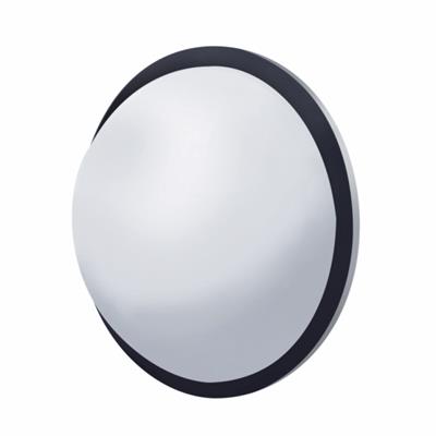 Stainless 8 1/2" Convex Fisheye Mirror
