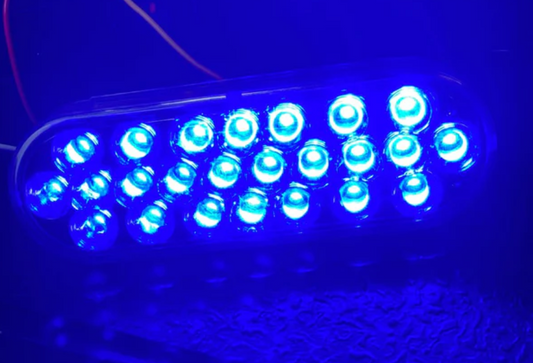 6" Oval Led Light Dual Amber/Blue Clear Lens 12/24V