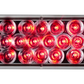 6" Oval LED Light Red/Clear Lens