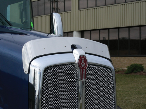 Bug Deflector For Kenworth T660 Stainless Steel 304