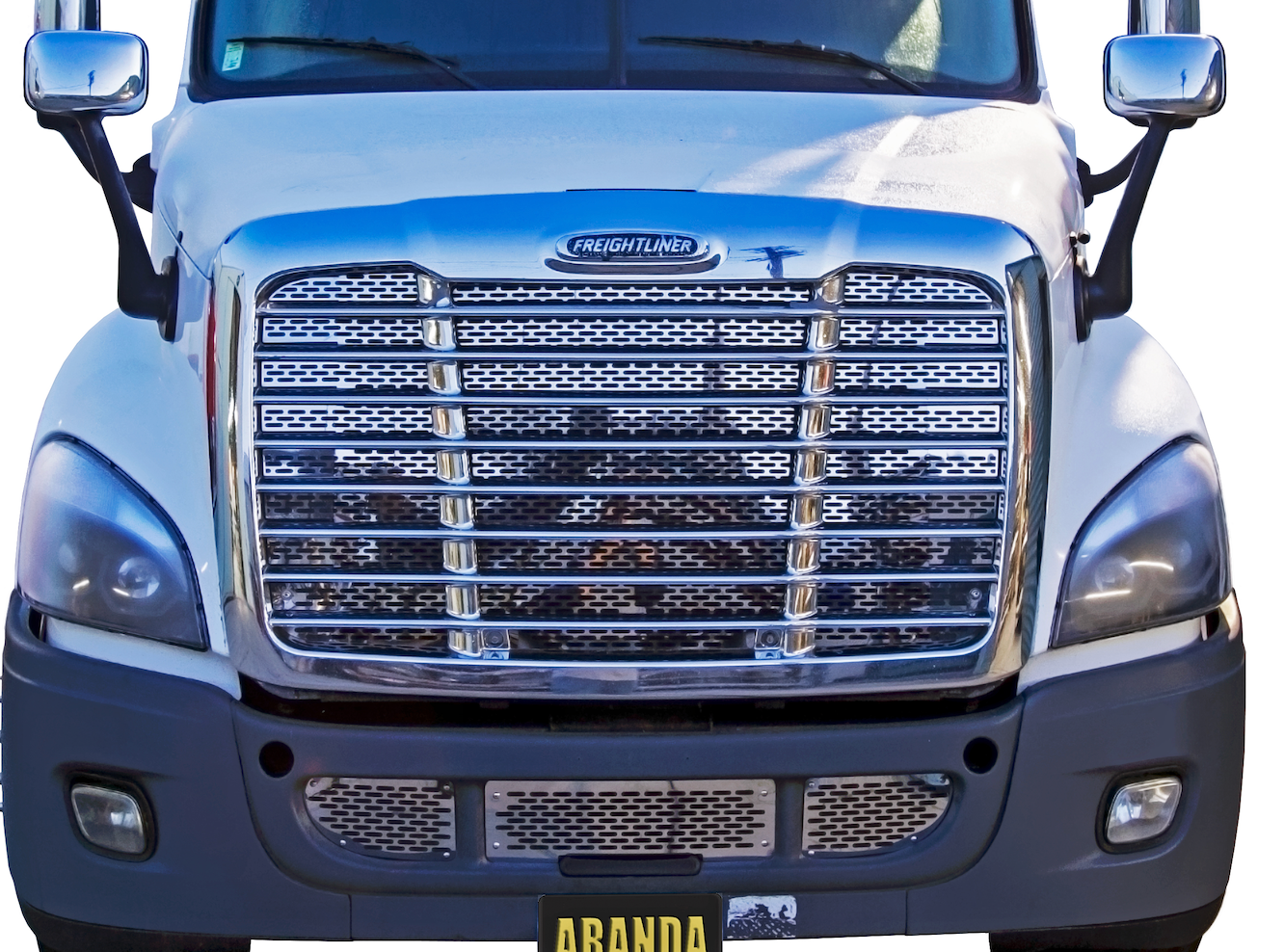 Freightliner Cascadia Hood Grill Mesh Insert (Old Body) - Grill Surround NOT included.