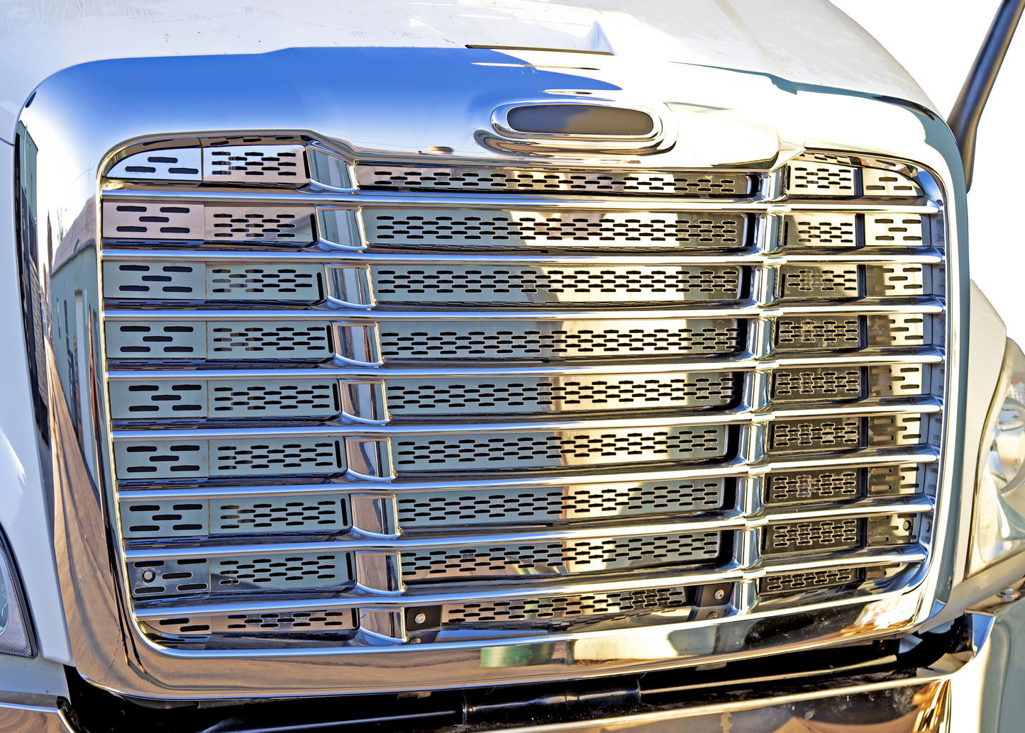 Freightliner Cascadia Hood Grill Mesh Insert (Old Body) - Grill Surround NOT included.