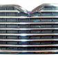 Grille Mack Vision W/Bugscreen