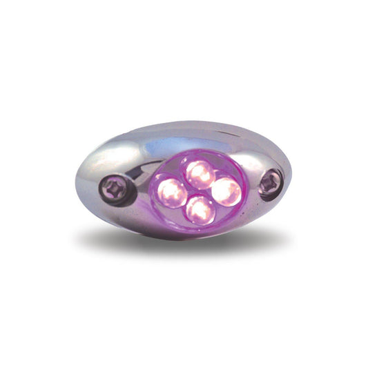 Purple LED Courtesy Light