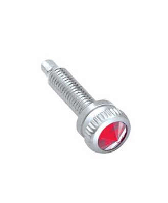 Truck City Chrome & Parts - Short Dash Screw With Red Crystal For Navistar International (6-Pack)