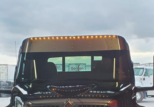 Visor 12" International 4000 Series (2002 - 2017) w/ 20 Button Light Holes (MV models too)