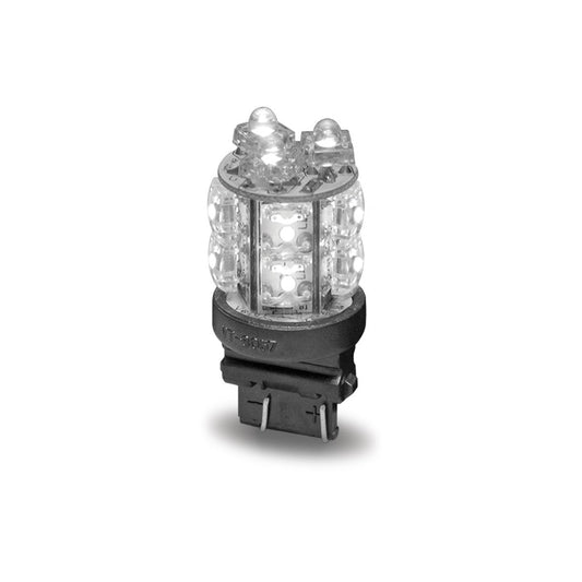 White Push In Replacement LED Light Bulb (13 Diodes) - 2 Function